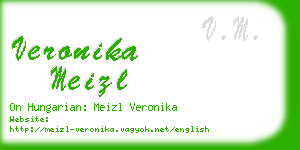 veronika meizl business card